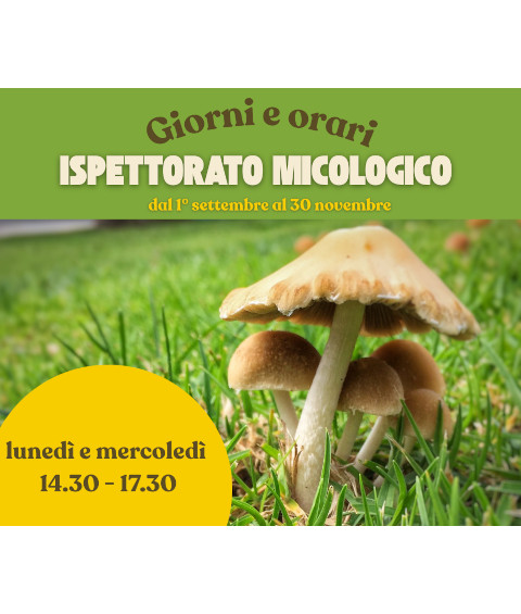 Funghi: controllo micologico per raccoglitori privati