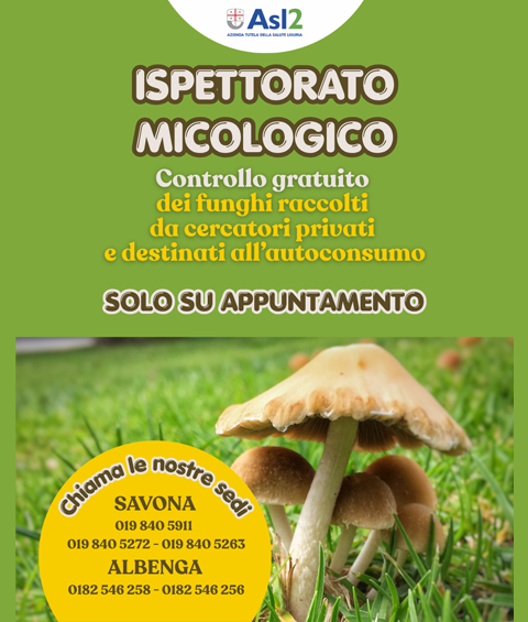 Funghi: controllo micologico per raccoglitori privati