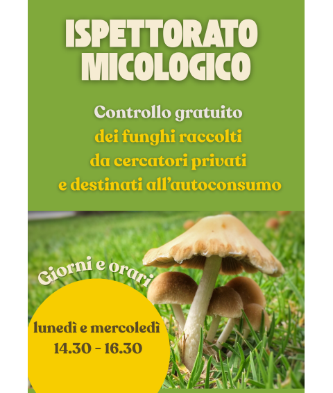 Funghi: controllo micologico per raccoglitori privati